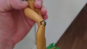 Knee replacement for Monster High dolls