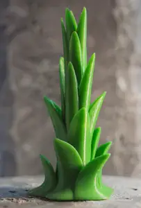Tabletop plant: Tree Agave
