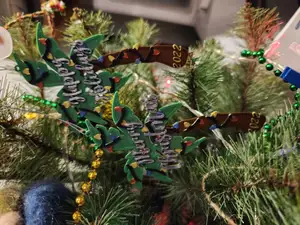 Palm Tree Christmas/Holiday Ornament