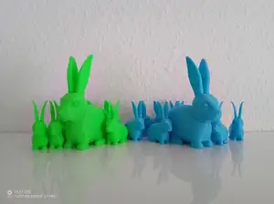 Cute Rabbit