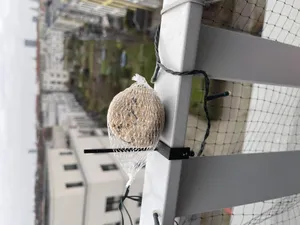 Railing Bird Feeder for Fat Balls /Maisenknödel