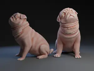 Pug