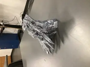 Dragon Head Wall Mount