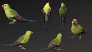 Regent Parrot Figurine