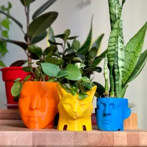 Cat head planter