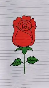 new 2026 era rose