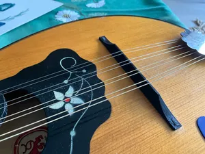 Mandolin bridge (parametric)