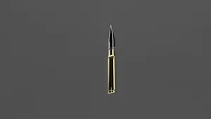GAU-8 Avenger Round