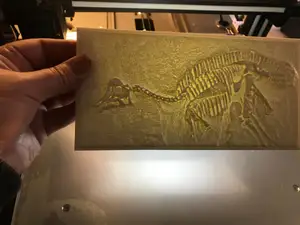 dino fossil Relief litho
