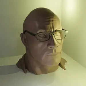 Dr Smolder - Glasses Holder (or just Dwayne Johnsons / the Rock head as sculpture)