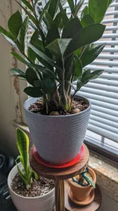 5-inch House Plant Drip Tray