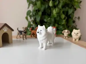 Samoyed