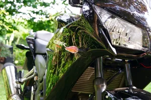 Indicator adapters front and back for CBR300R