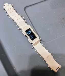 Fitbit Charge 4 Watchband Case