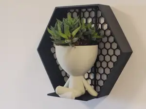 Hexagonal frame for flower pots