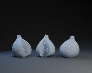 Fig