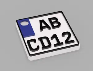Numberplate / license plate Keyring (REMIX motorcycle)