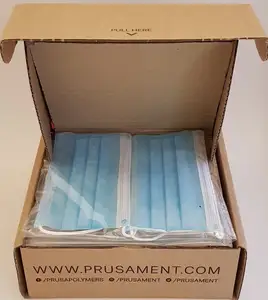Sterilizer for protective masks