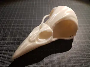 Raven Skull