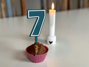 Birthday Cake Topper: all Numbers from 0-9