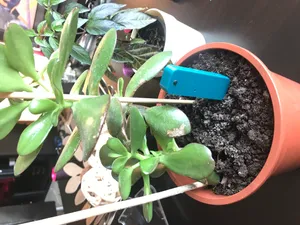 Plant watering Alarm - Humidity Sensor