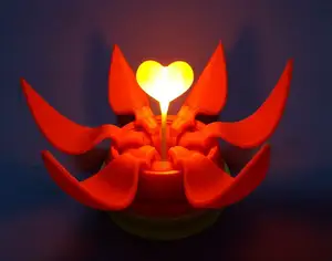 Valentines Day Blooming Flower Gift Box