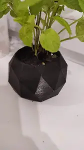 flowerpot for small plants like herbs