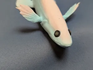 Deepsea Lizardfish (Bathysaurus ferox)