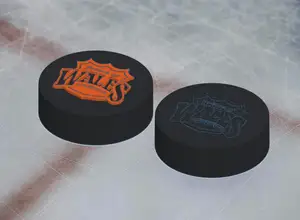 Wales Conference Retro NHL Hockey Puck Logo