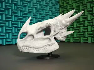 Dragon Skull Stand