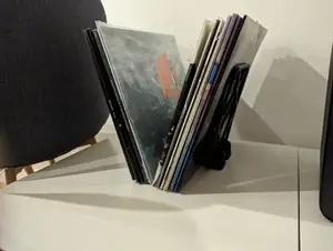 Vinyl storage