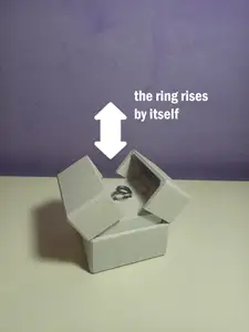 lift-up ring box