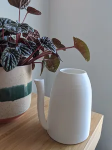 Small Watering Can for Indoor Plants