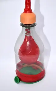 Lungs and Diaphragm Model