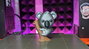 Baby Koala