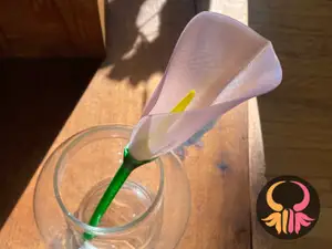 Spiral Vase Calla Lily