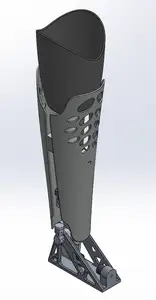 Prosthetic Leg
