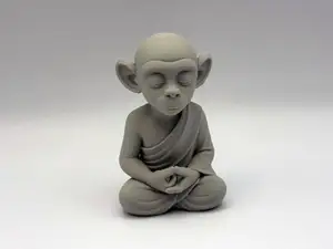 Zen Monkey Monk