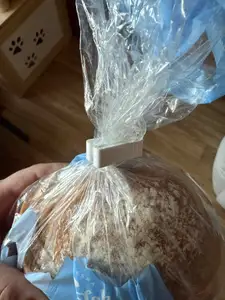 Clip for food, bread, for the kitchen