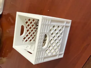Organizer Crate for Storage