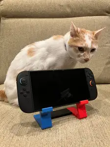 Nintendo Switch and Switch 2 Stand