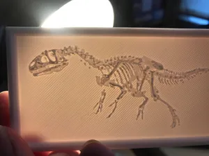 T. rex dino fossil Relief litho