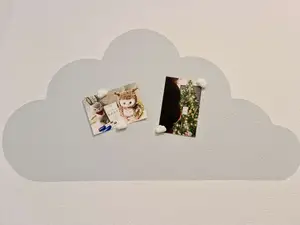 Magnetic clouds