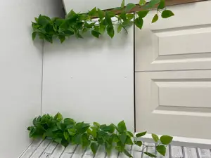 Vine Vase