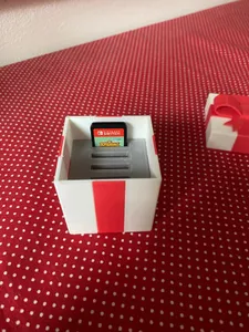 Nintedo Game Card/Cartridge insert for Animal Crossing Present