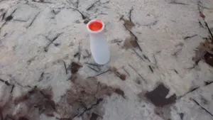 small vase for models