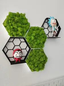 Honeycomb shelf and moss frame