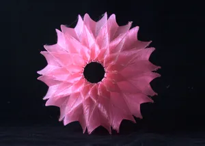 Pink Eucalypt Drop Light