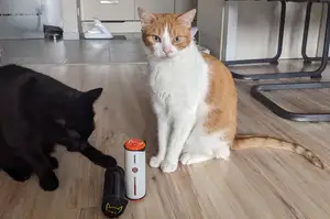 Cat treat fumble roll toy