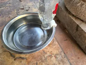 Dog Bowl Water Bottle Refill Adapter